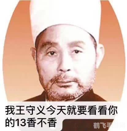王守义十三香是什么梗,探寻王守义十三香背后的秘密——手游XXX独特玩法攻略