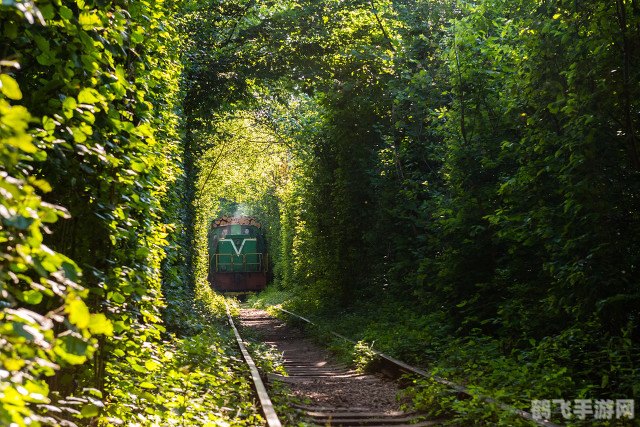心之国的爱丽丝,心之国的爱丽丝：梦幻之旅攻略大全