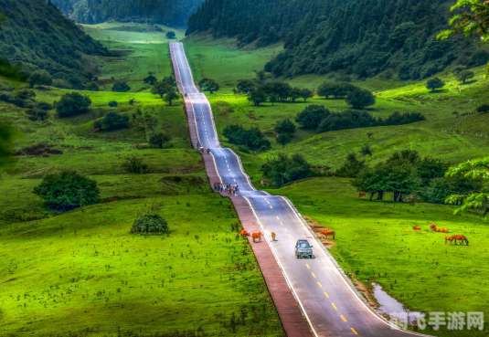风筝也叫纸鸢其中鸢是指,探秘风筝之鸢,手游纸鸢大师攻略全解析