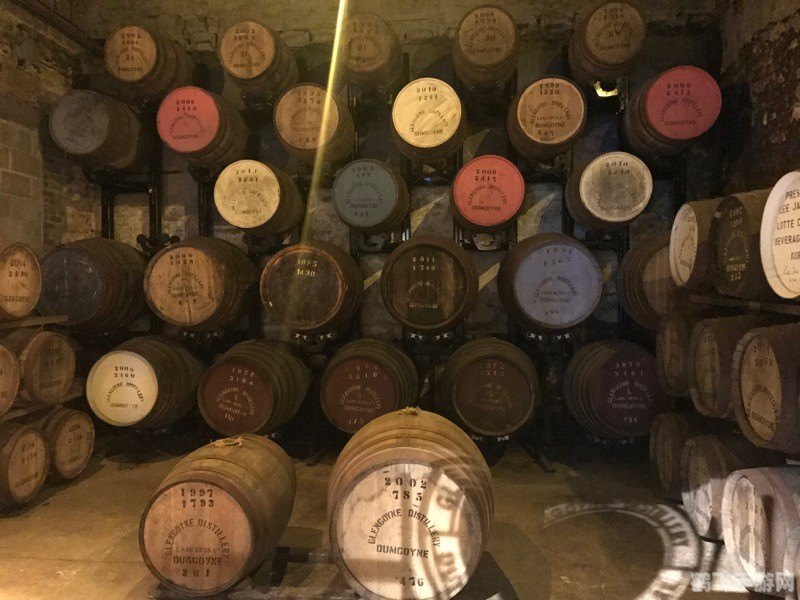 DNF格兰之森探秘：勇士的冒险攻略