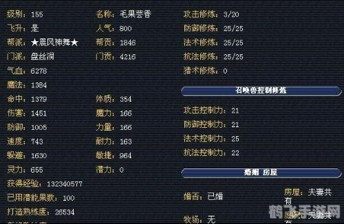 梦幻西游ps怎么加点,梦幻西游攻略:PS加点新手指南