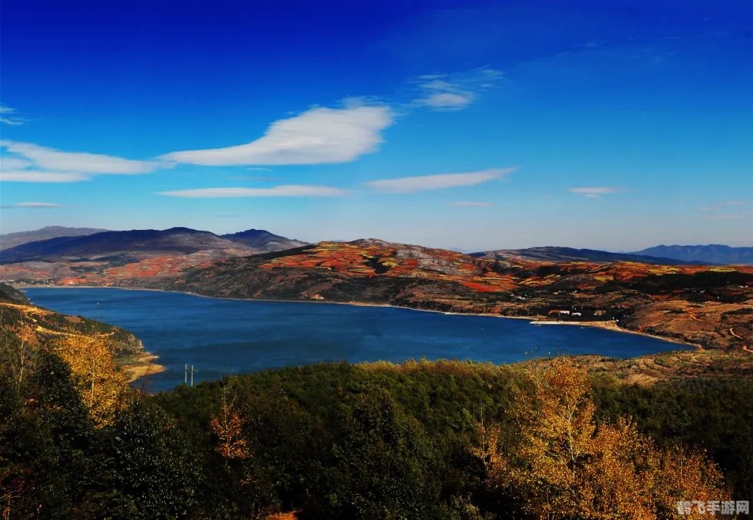 洛克王国清水之妖,洛克王国清水之妖——探秘水系宠物的奥妙