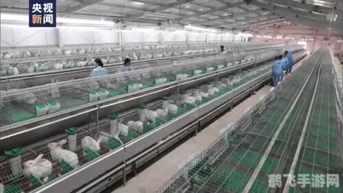 暗黑破坏神3序列号,暗黑破坏神3手游版攻略:探索黑暗世界,序列号助力英雄征程