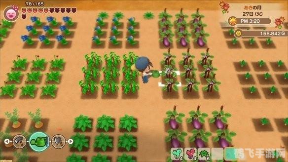 牧场物语:矿石镇全方位攻略,打造繁荣牧场!