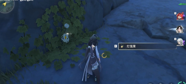 鸣潮灯笼果采集路线