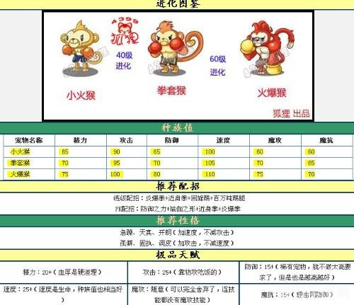 洛克王国火爆猴技能表,洛克王国火爆猴技能全解析与实战攻略