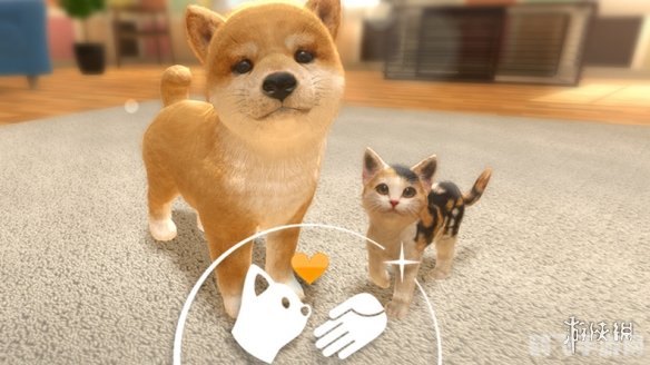 宠物小游戏,宠物小游戏萌宠来袭,轻松养成快乐多!