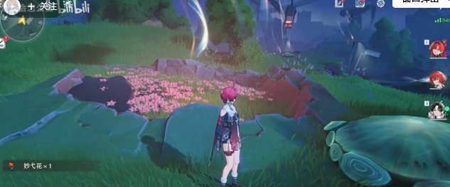 鸣潮妙弋花采集路线