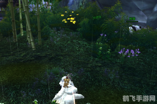 扬州出发,探秘七秀之旅攻略