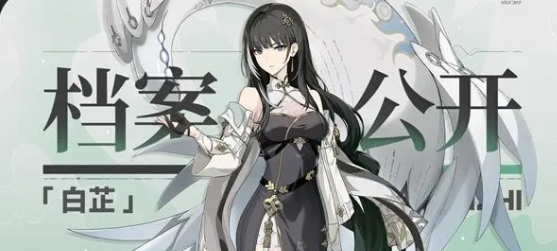 鸣潮白芷怎么样