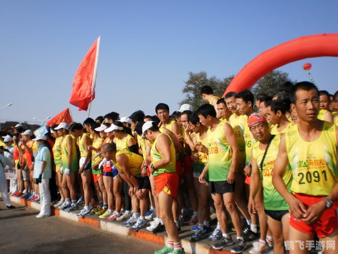 网页游戏排行榜2012,网页游戏排行榜2012:经典游戏盘点与攻略