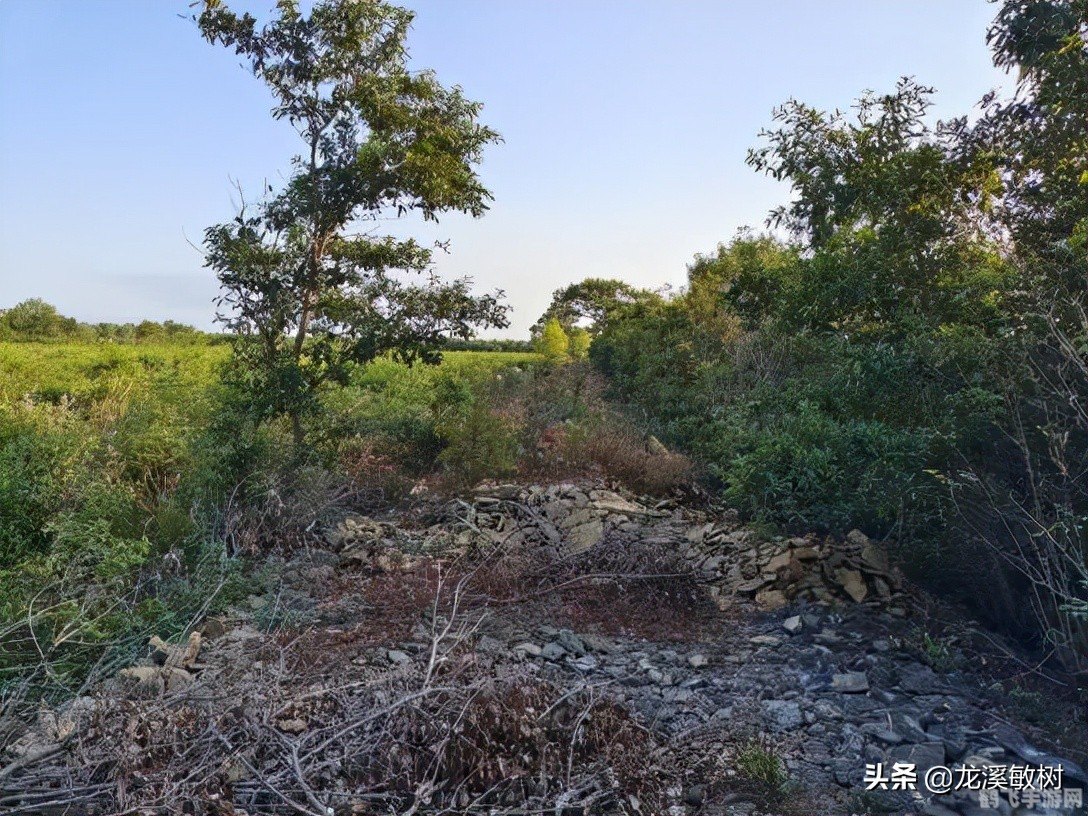 远古三套装,远古三套装手游攻略：探秘套装之力，征服远古战场