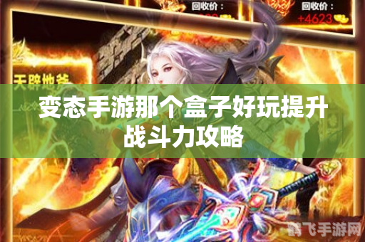 多玩盒子战斗力,多玩盒子战斗力大揭秘,助你游戏称霸!