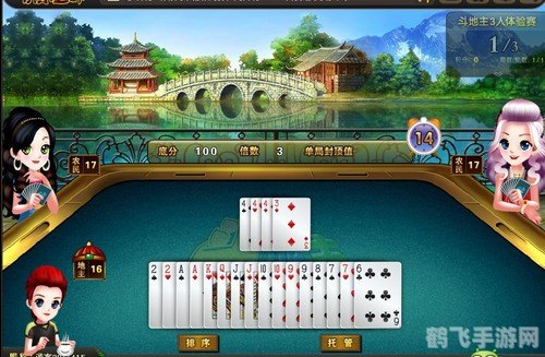 手机单机斗地主:智勇之战,赢牌攻略大揭秘!