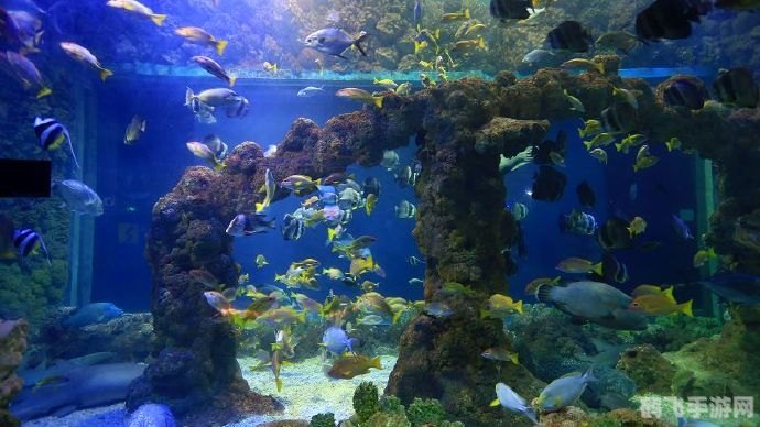 大人小游戏：探秘梦幻手游世界，攻略大揭秘！