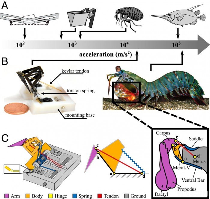 上单机器人制霸峡谷,无敌铁拳引领战场