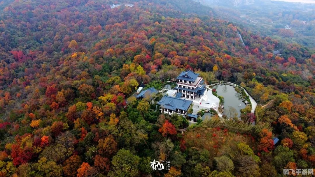 奇迹世界了望塔,奇迹世界了望塔：登顶攻略与玩法大揭秘！