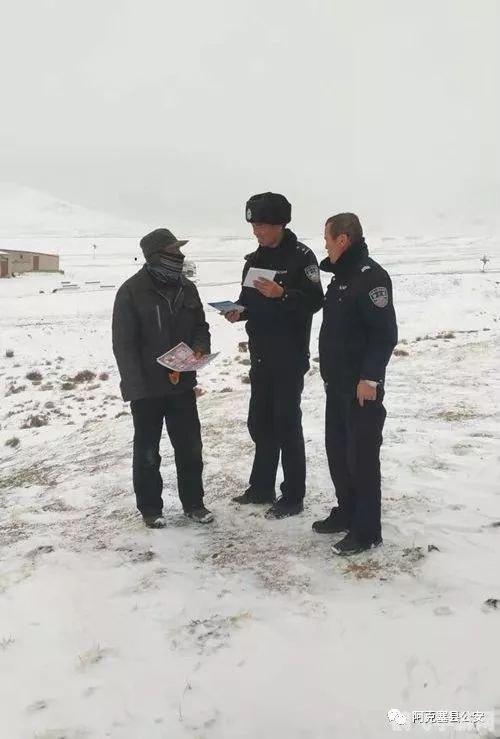 178人口普查,178人口普查揭秘:探索游戏世界的玩家群像