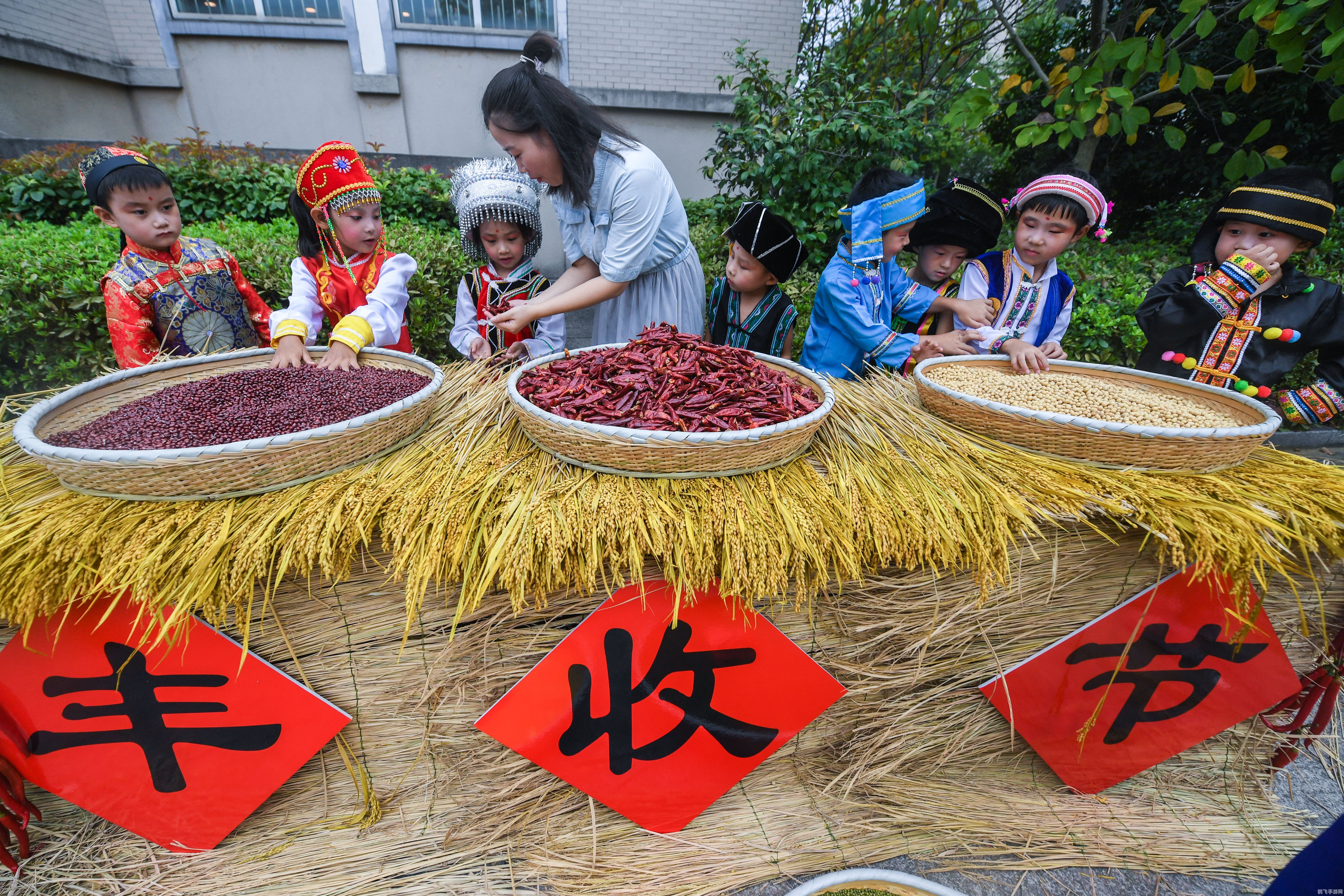 &lt;h2&gt;收获节任务全攻略探秘丰收盛宴，赢取丰厚奖励！&lt;/h2&gt;