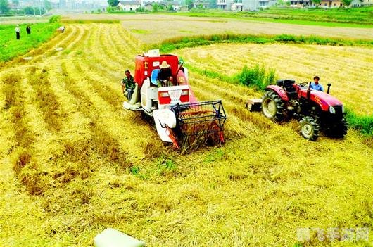 收获节任务全攻略探秘丰收盛宴，赢取丰厚奖励！