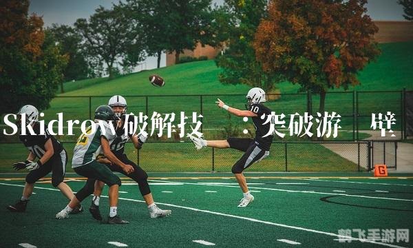 Skidrow版游戏秘籍大公开，玩家必备攻略！