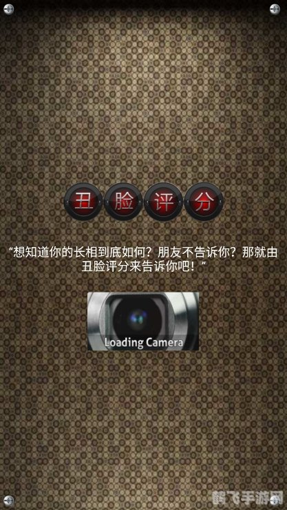 ugly meter 安卓,Ugly Meter安卓手游攻略：测颜大作战，玩转丑度评估！