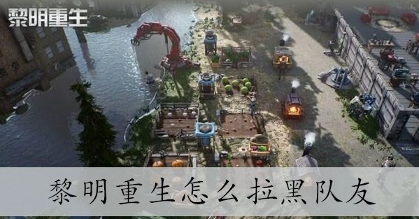 黎明重生怎么拉黑队友