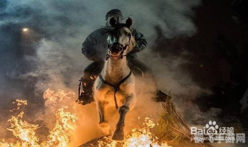 Last Day on Earth与马共舞,驰骋末日世界!