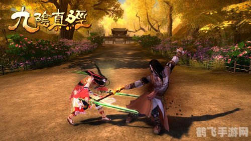 九阴真经武林大会：独步江湖的秘籍与攻略