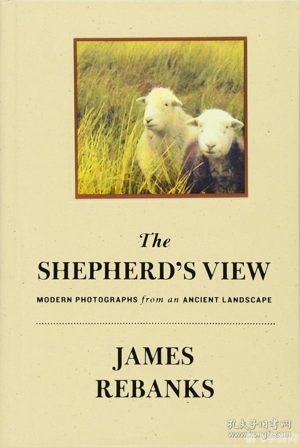 农夫有17只羊,农夫的17只羊：牧羊攻略大揭秘！