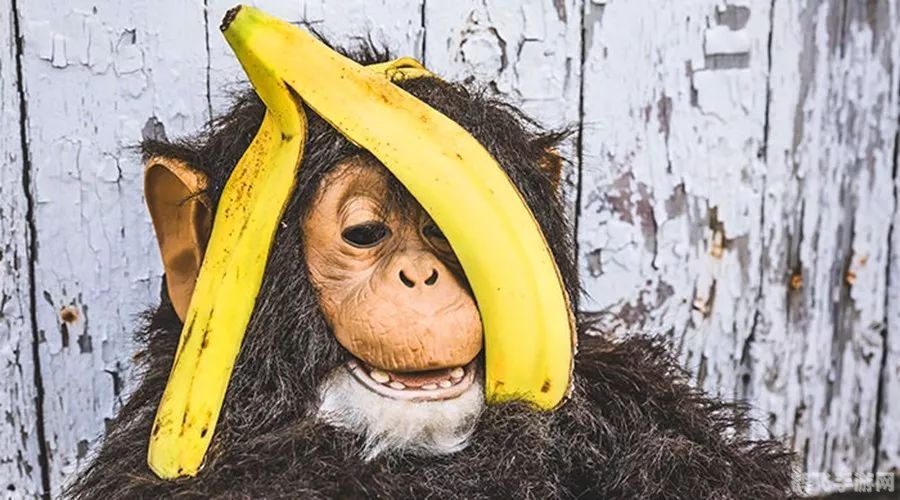 哪种动物喜欢把海藻缠在身上,海洋奇遇:海藻缠身秘籍大揭秘!