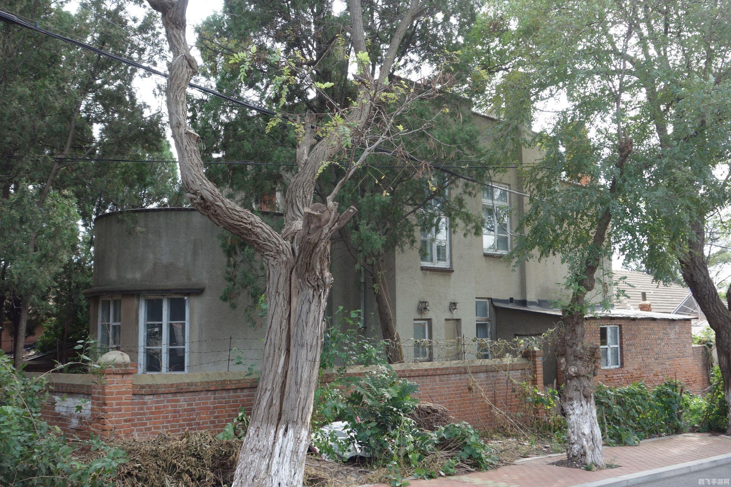 餐厅小镇漫游记2,​​&lt;h3&gt;新游推荐餐厅小镇漫游记2：美食与探险的完美结合&lt;/h3&gt;