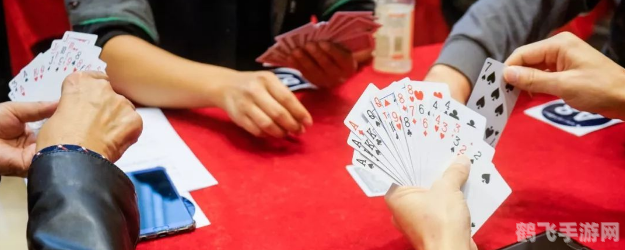 淮安掼蛋官方网,淮安掼蛋手游攻略:技巧与策略助你成为掼蛋高手