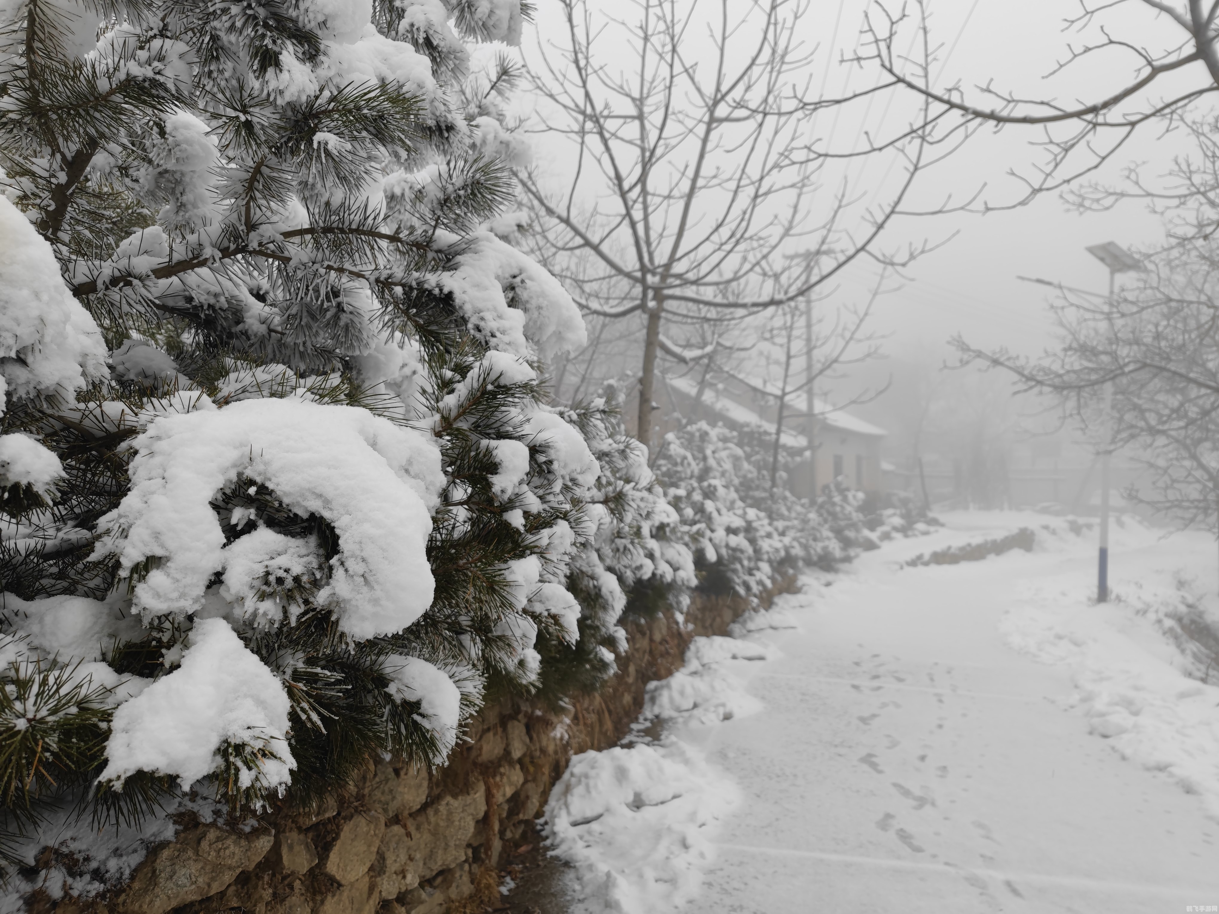 雪后静谧探秘境,手游雪景玩法全攻略