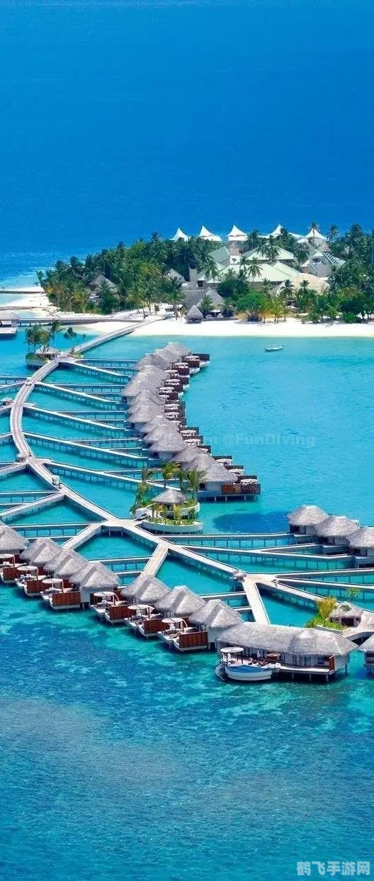 揭秘天堂岛探索神秘岛屿，开启梦幻之旅！