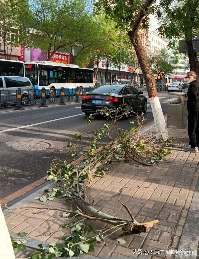 桃园采集分布,桃园采集全攻略:分布点、技巧与收益最大化