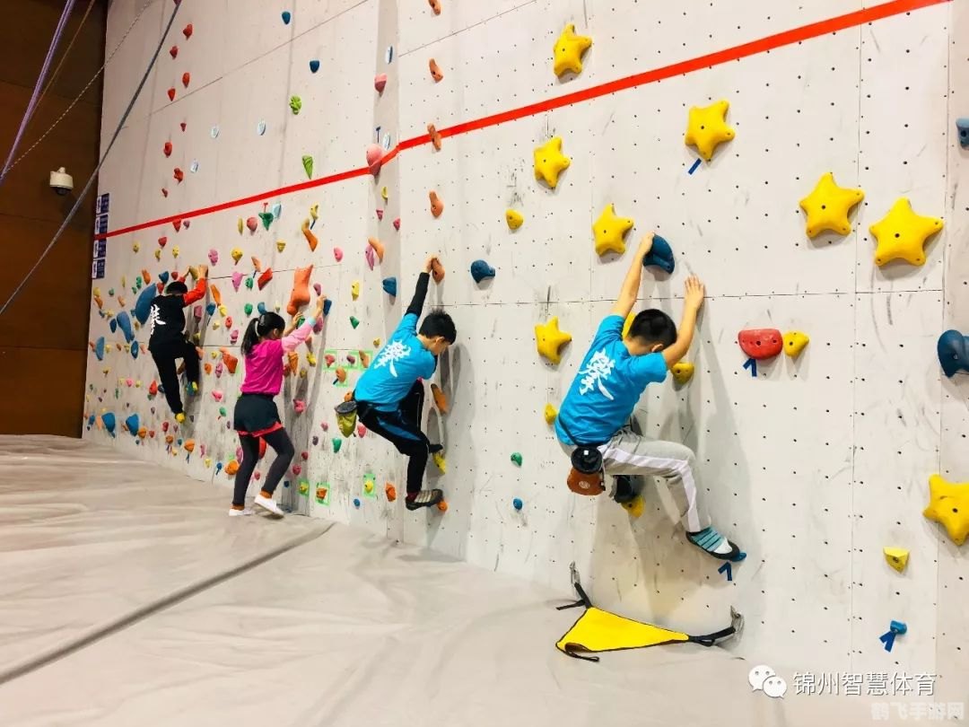 奥运会正式比赛项目蚂蚁庄园,奥运会正式比赛项目大揭秘，手游玩家也能体验热血竞技！