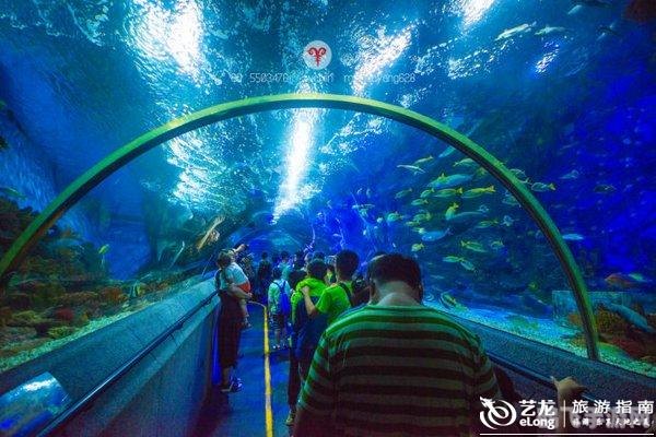 2458app美人鱼手游:深海探险,美人鱼的奇幻之旅