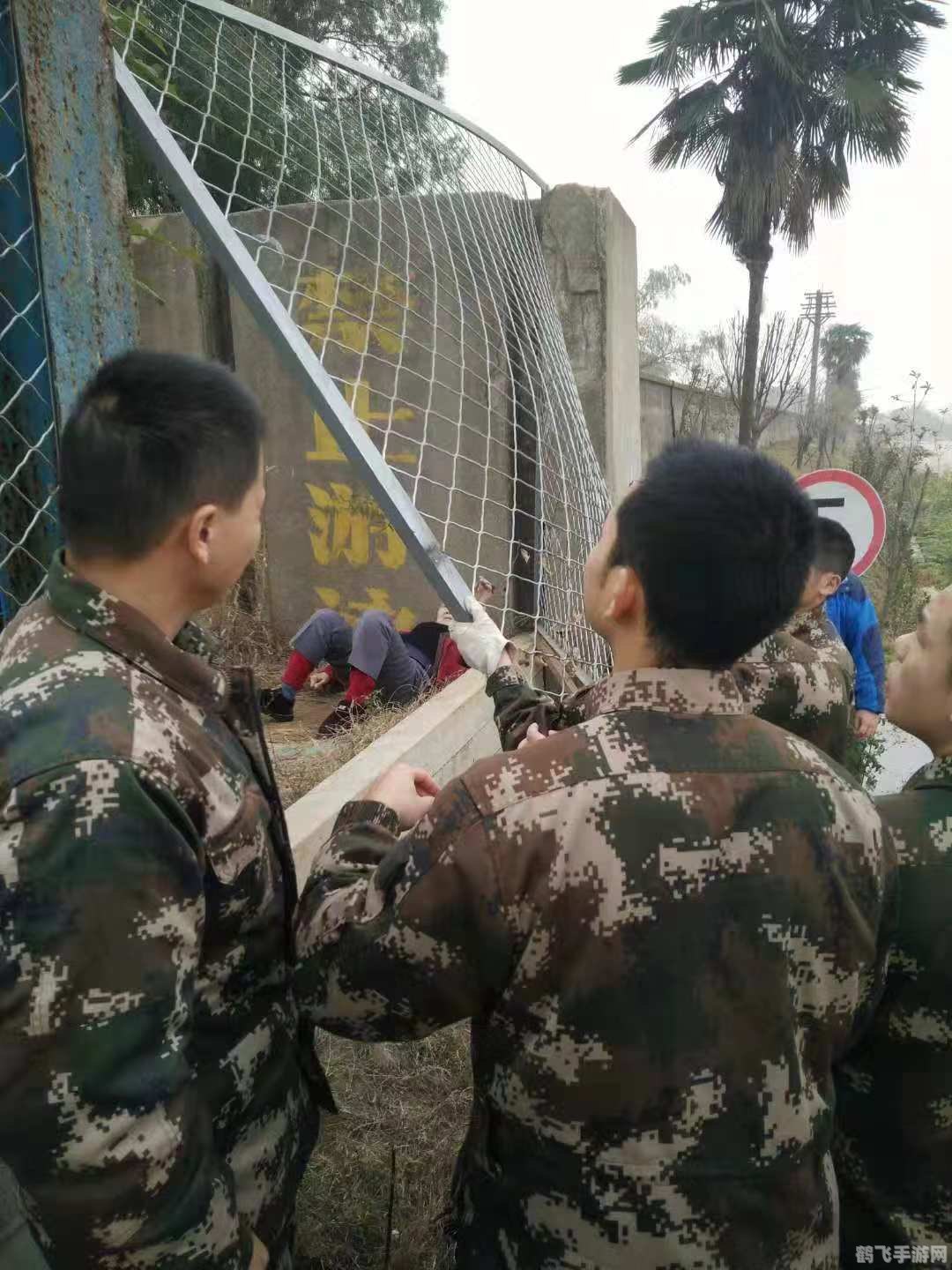 冬季雪封草地：救命草成动物生存秘籍