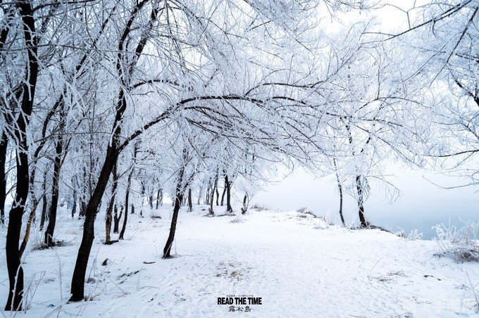 梦幻西游手游:修改密码保安全,畅游西游无后患