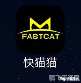 快猫km8kw108引领游戏新风尚,玩家必备攻略大揭秘!