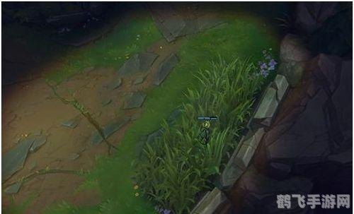 lol插眼,LOL插眼技巧全解析，助你掌控视野先机！