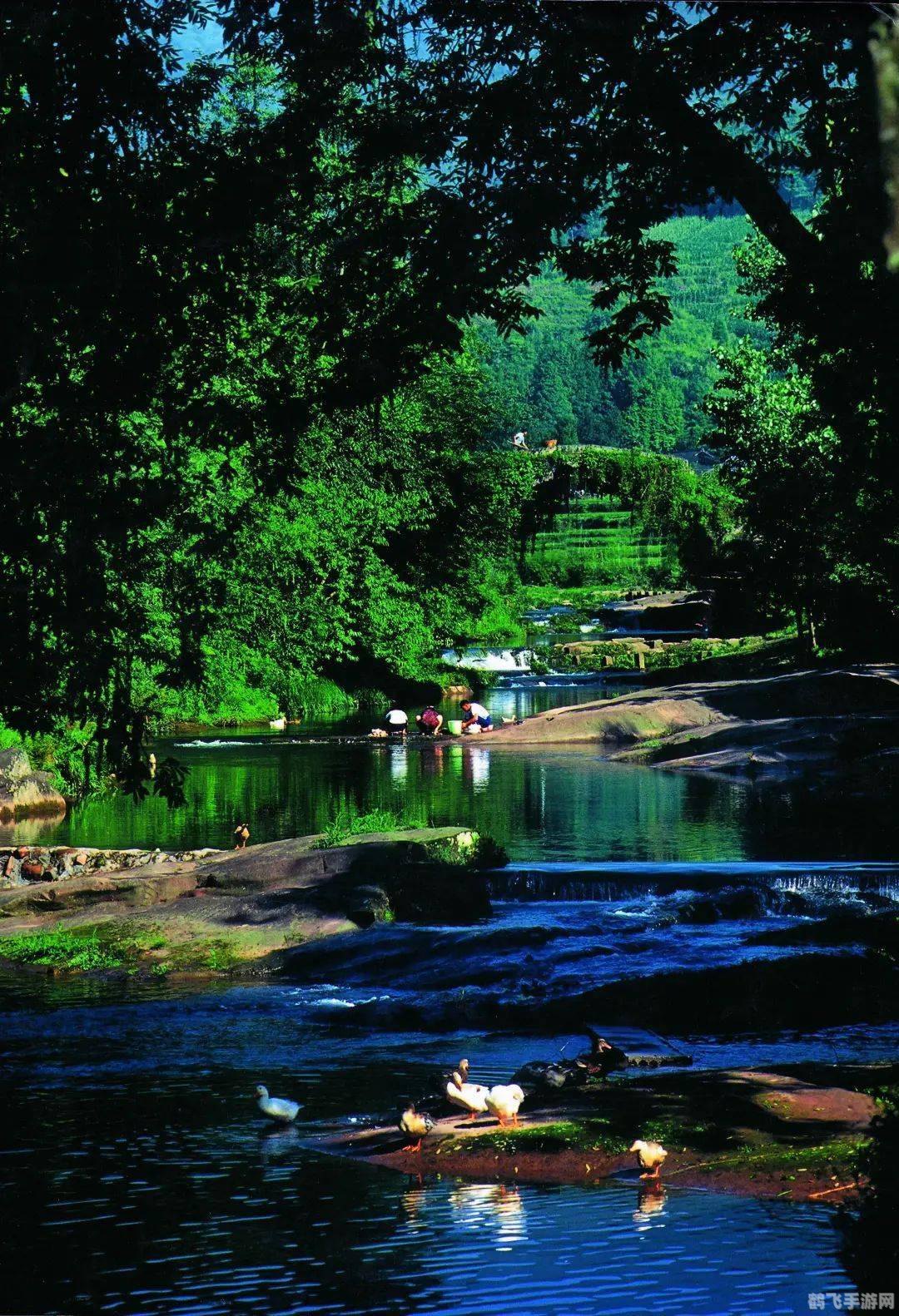 菲拉斯探秘攻略：手游玩家的奇幻之旅