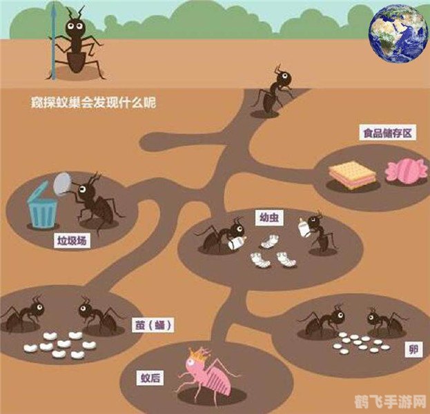 意大利蚂蚁庄园,意大利蚂蚁庄园:探秘蚂蚁世界的策略游戏新宠