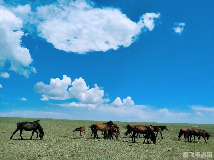 最好玩的手游三国游戏,探秘三国世界，手游巨献玩转不停