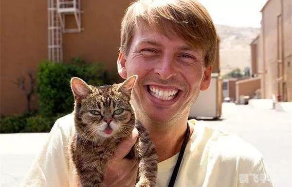 喵星大作战,喵星大作战手游攻略:领略喵星人的战斗魅力