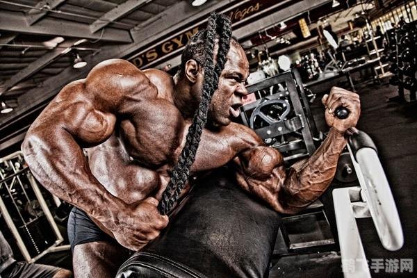 健身教练2,健身教练2游戏攻略：塑造完美身材的秘诀