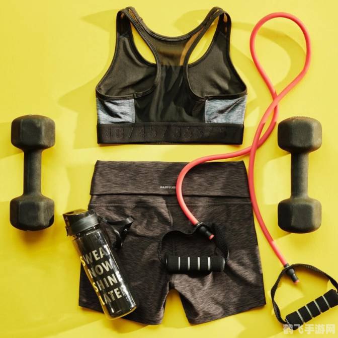 健身教练2,健身教练2游戏攻略:塑造完美身材的秘诀