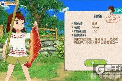 小森生活沙丁鱼攻略：轻松捕捞，美味烹饪，探索海洋的奥秘！