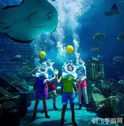 困龙湾寻宝:探秘神秘海域,宝藏等你来寻!